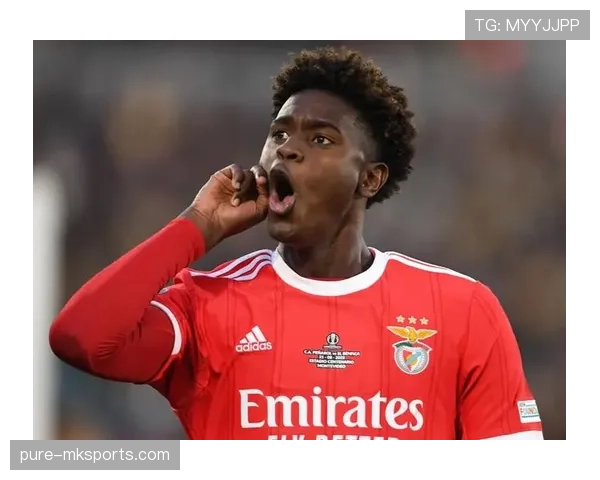 桑德兰青年队强势崛起，新星闪耀展现未来竞争力